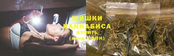 трава Аркадак